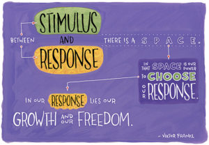 Stimulus_response_frankl